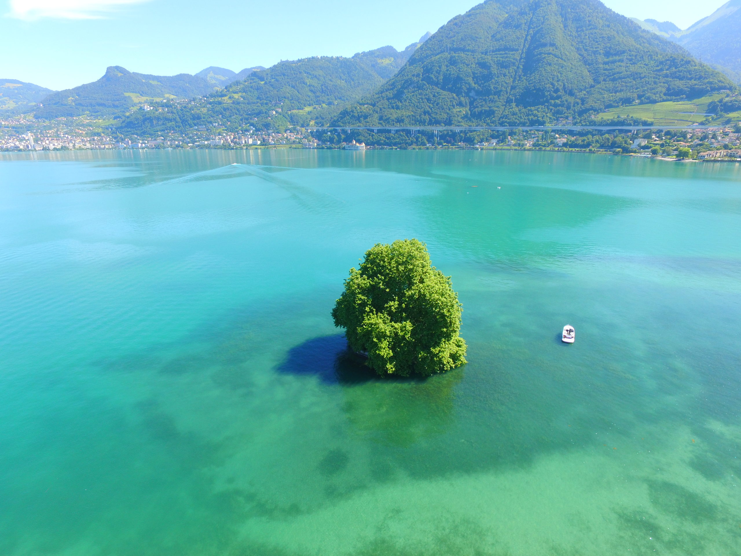 Le Léman et l’île de Peilz face aux montagnes
